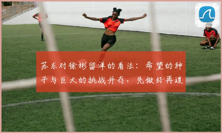苏东对徐彬留洋的看法：希望的种子与巨大的挑战并存，先做好再追求完美